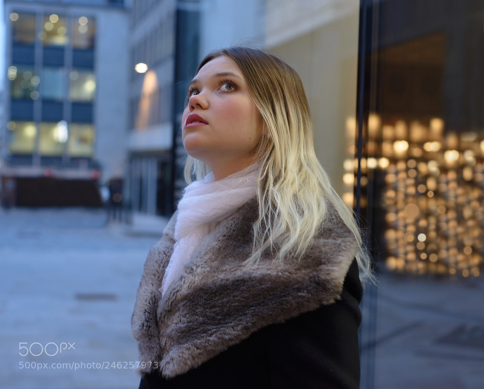 Nikon D600 sample photo. Golden city photography