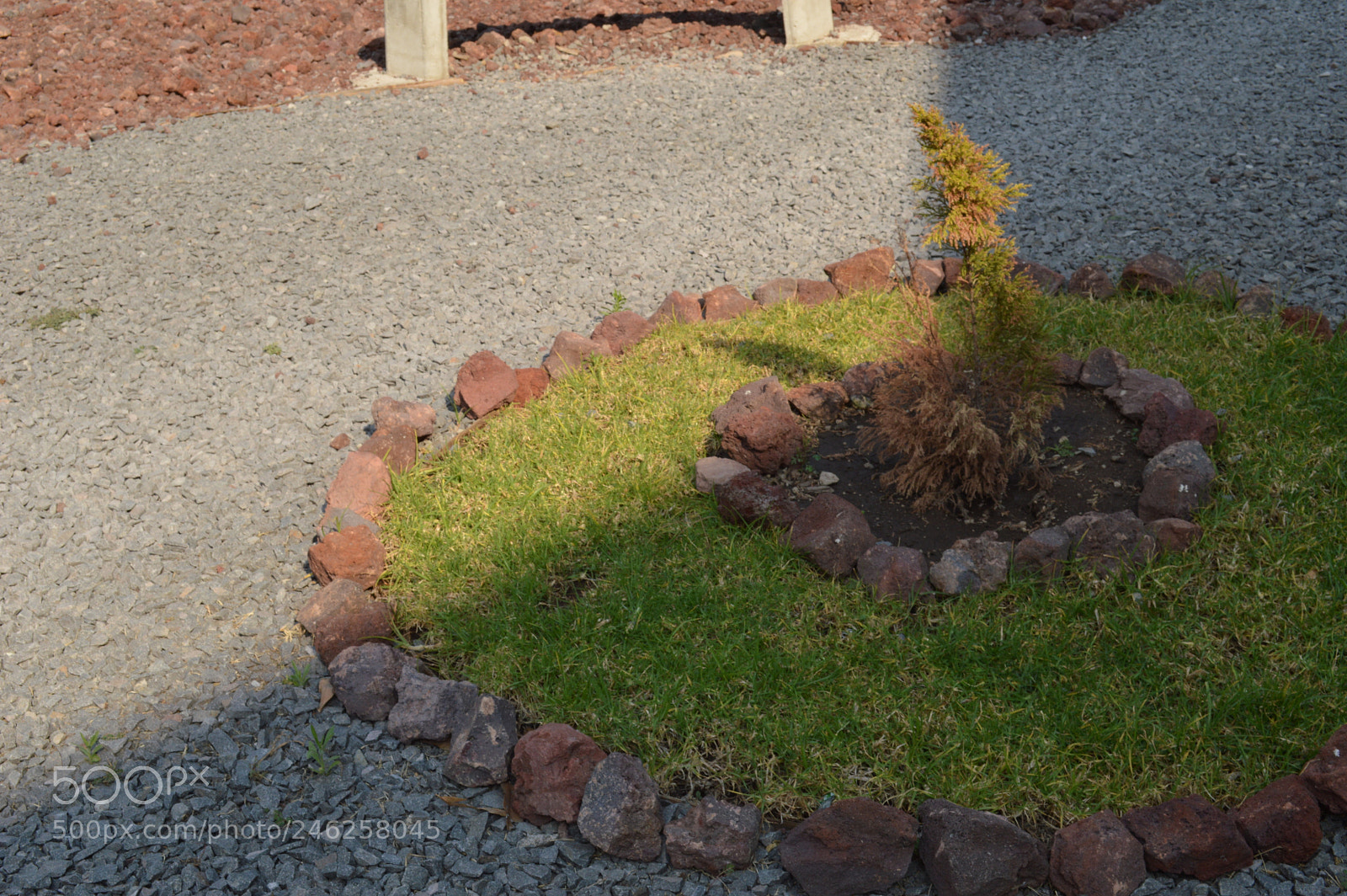 Nikon D3200 sample photo. Una tarde en el photography