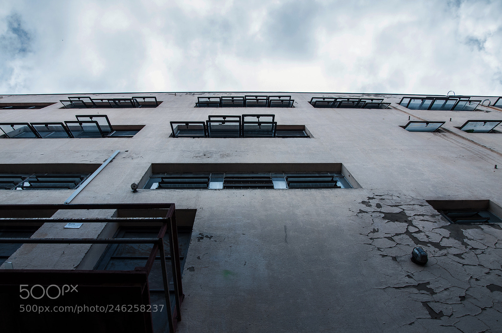 Nikon D300S sample photo. Reach the sky photography