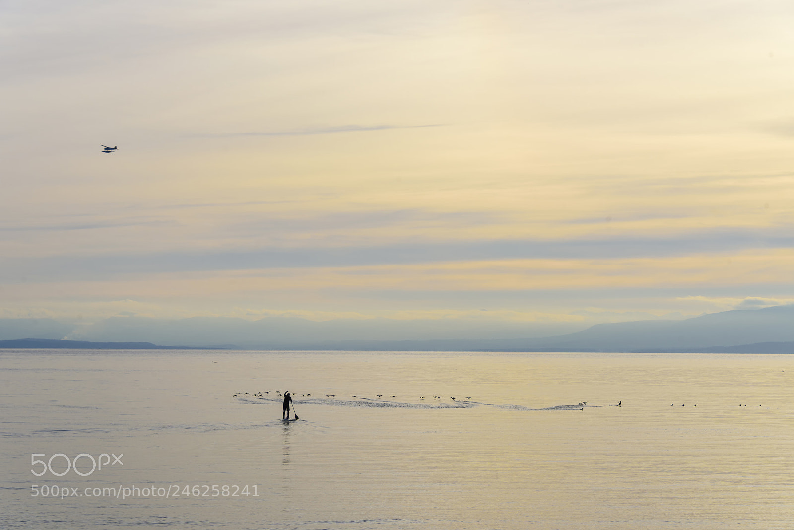 Nikon D810 sample photo. Evening paddle photography
