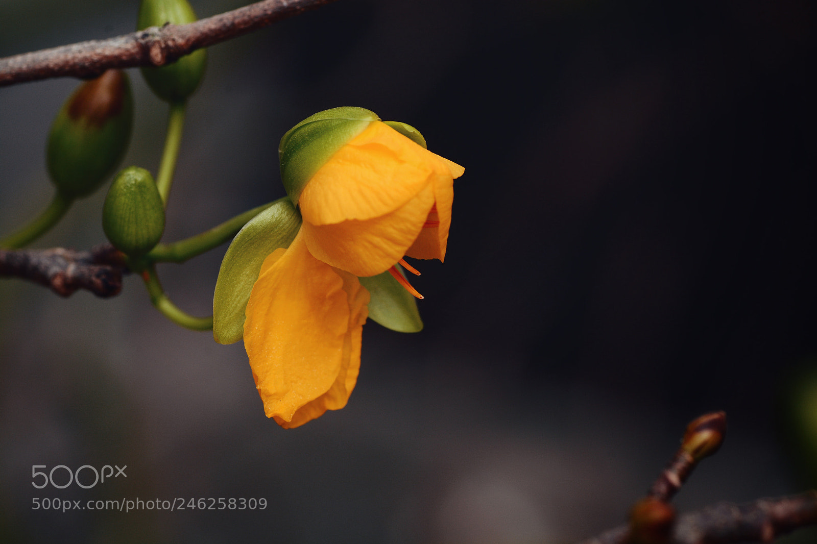 Nikon D7100 sample photo. Untitled photography