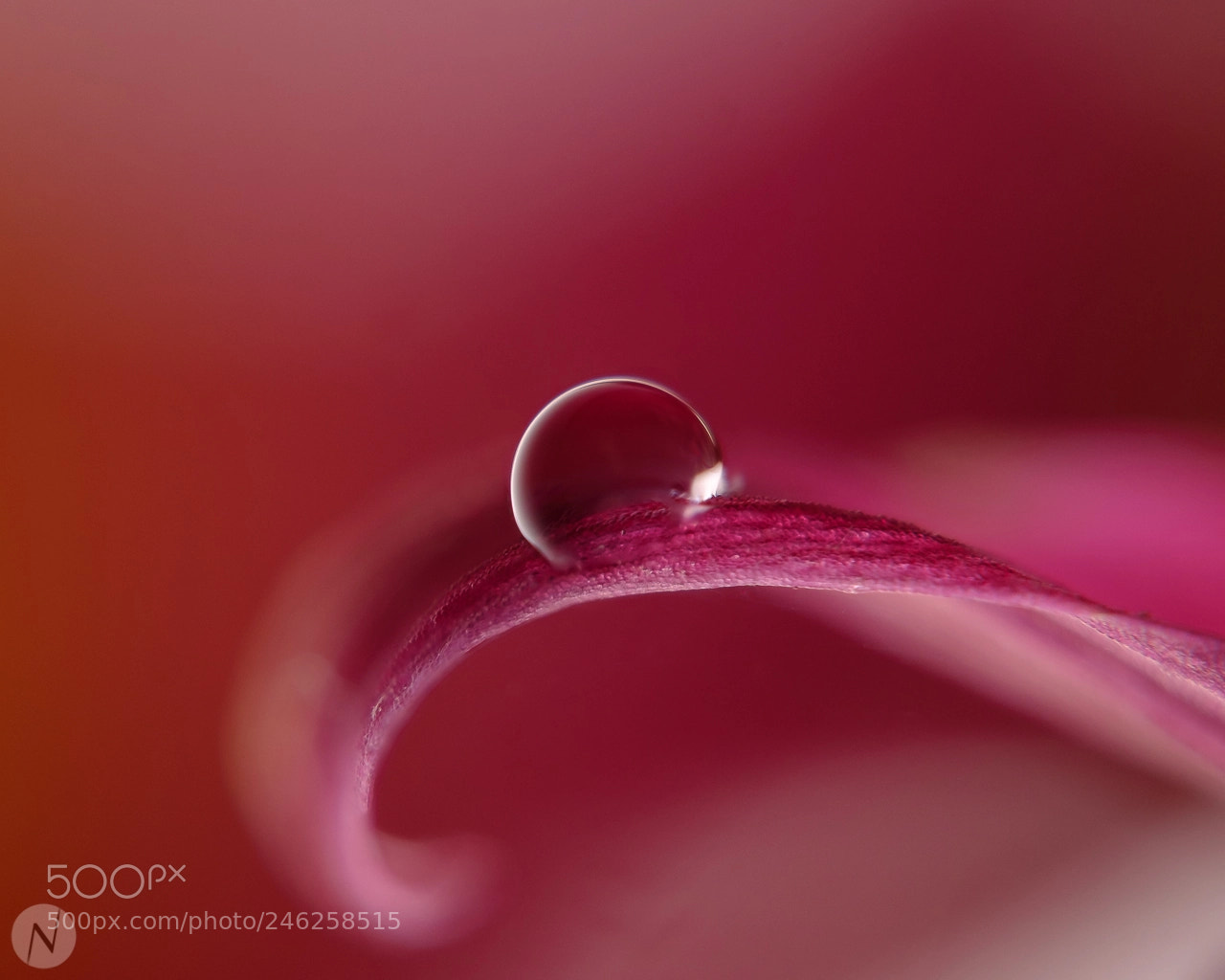 Fujifilm X-T1 sample photo. A drop photography