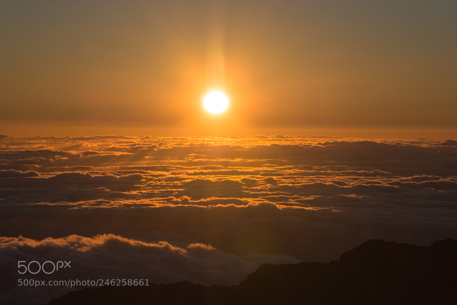 Nikon D7100 sample photo. Sunrise above the sky photography