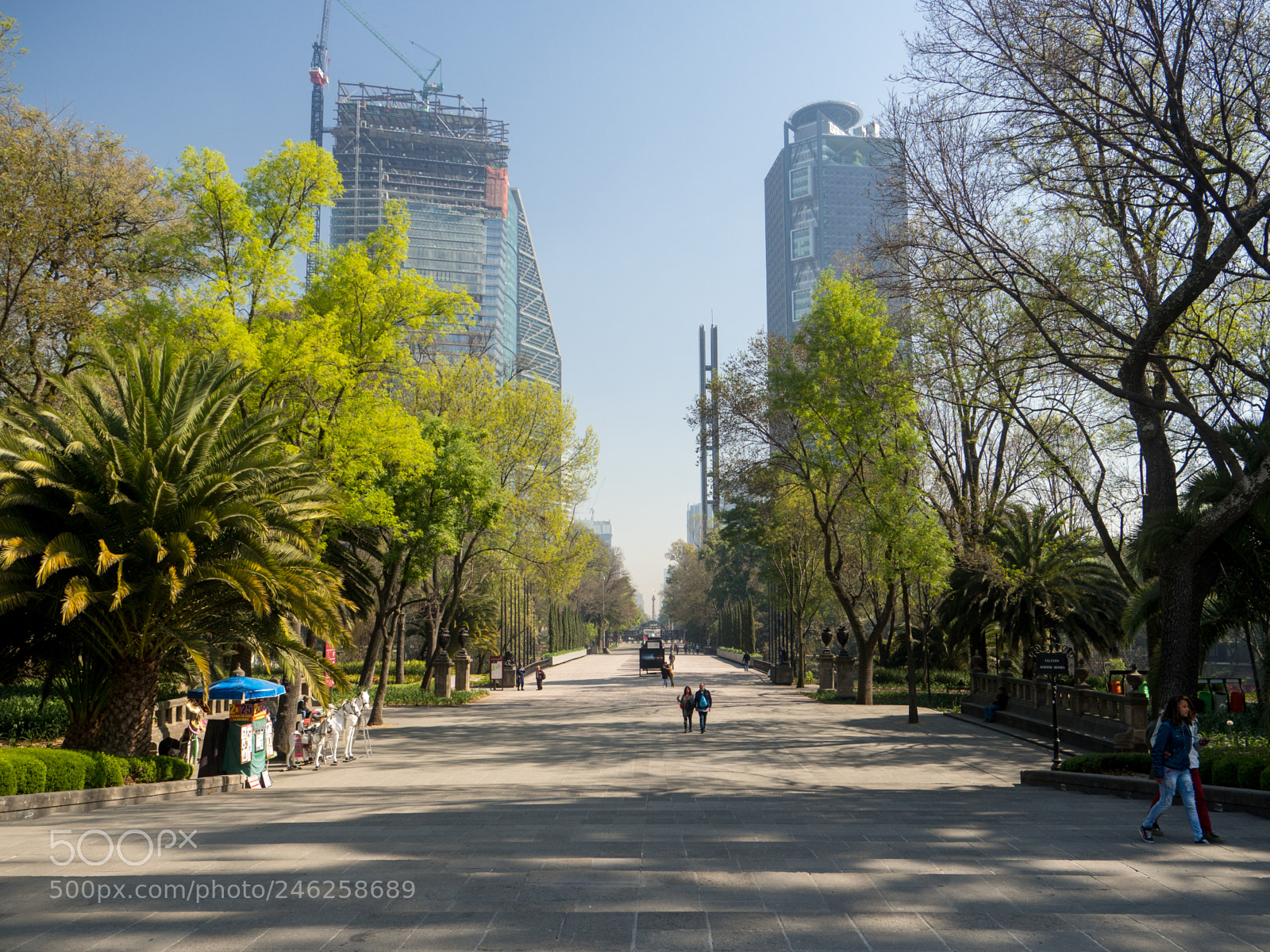 Olympus OM-D E-M10 sample photo. Avenida juventud heroica photography