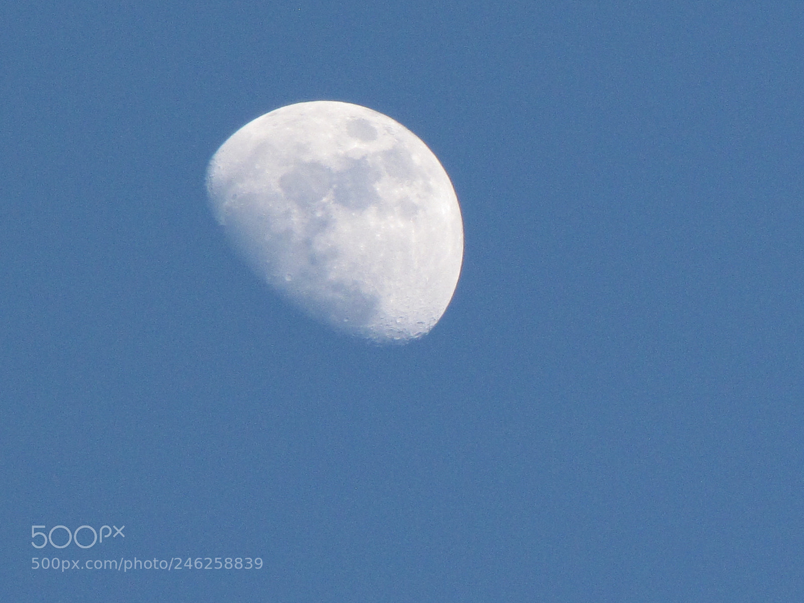 Canon PowerShot SX10 IS sample photo. Img photography