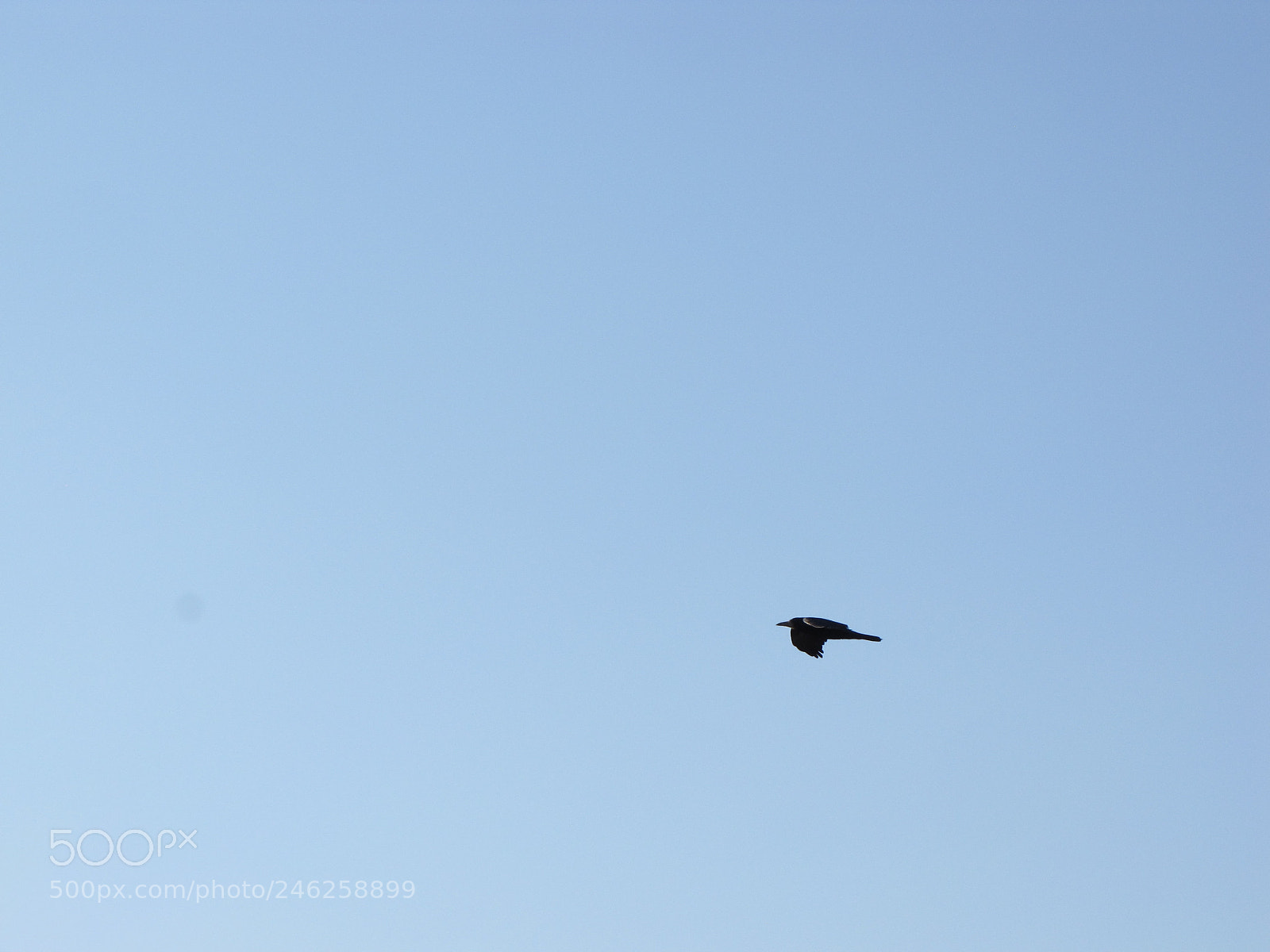 Canon PowerShot SX10 IS sample photo. Img photography
