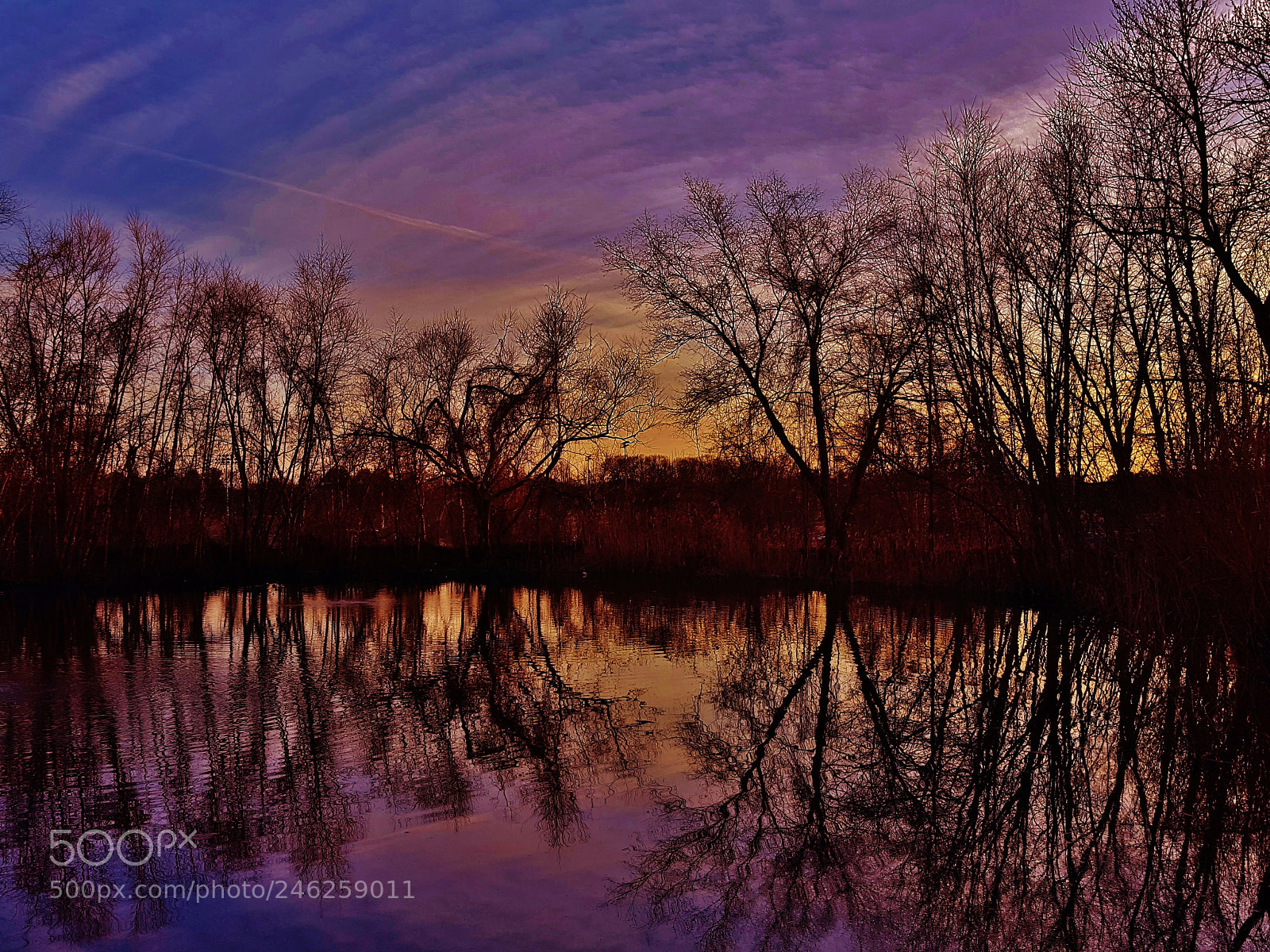 Samsung Galaxy S6 sample photo. Winter pond silhouettes 2018 photography