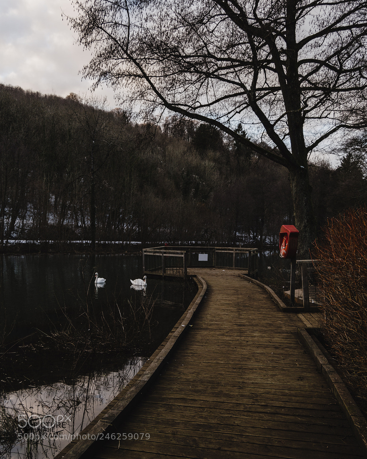 Nikon D3200 sample photo. C t d'un petit photography