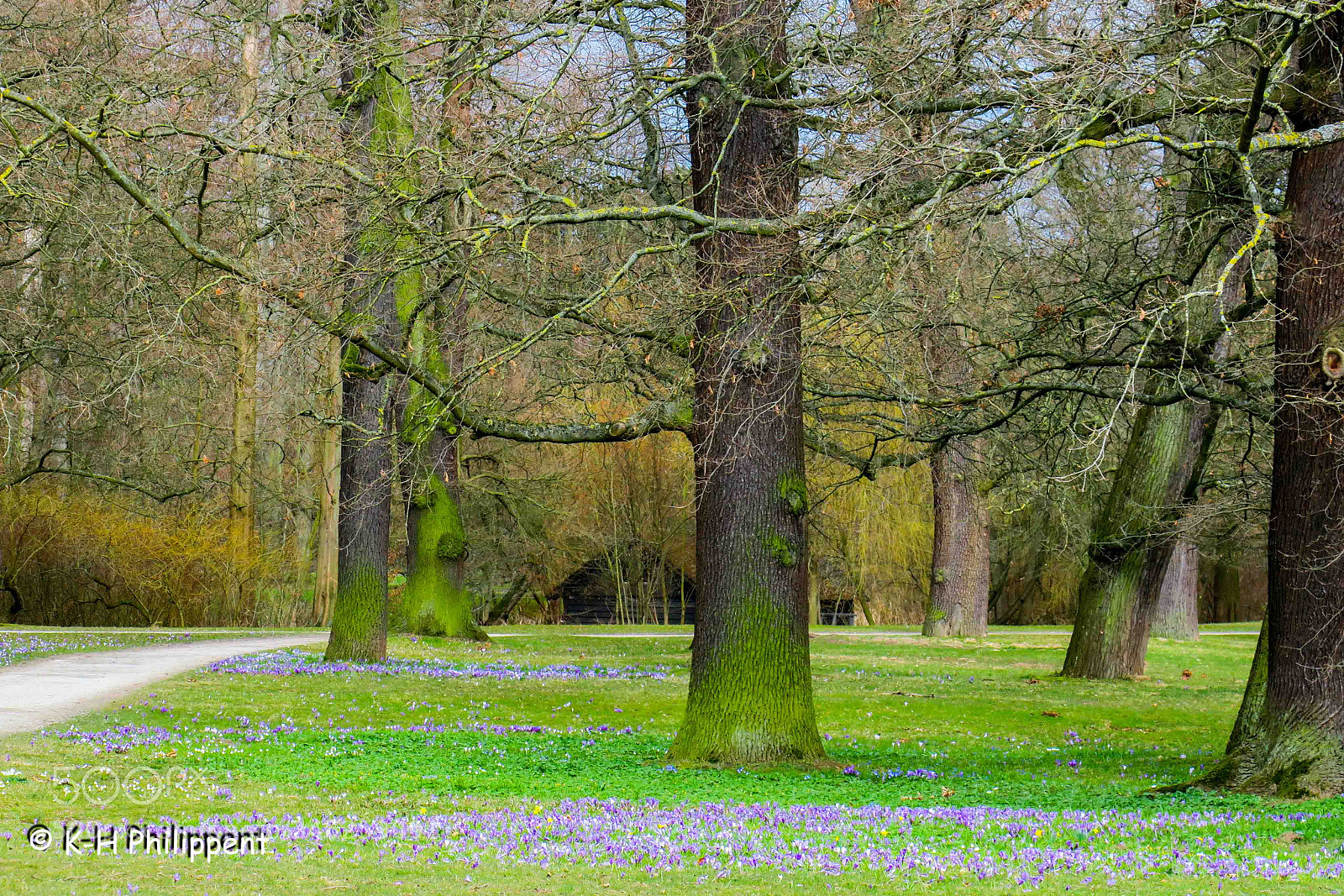 Canon PowerShot G3 X sample photo. Kassel germany , karlsaue photography