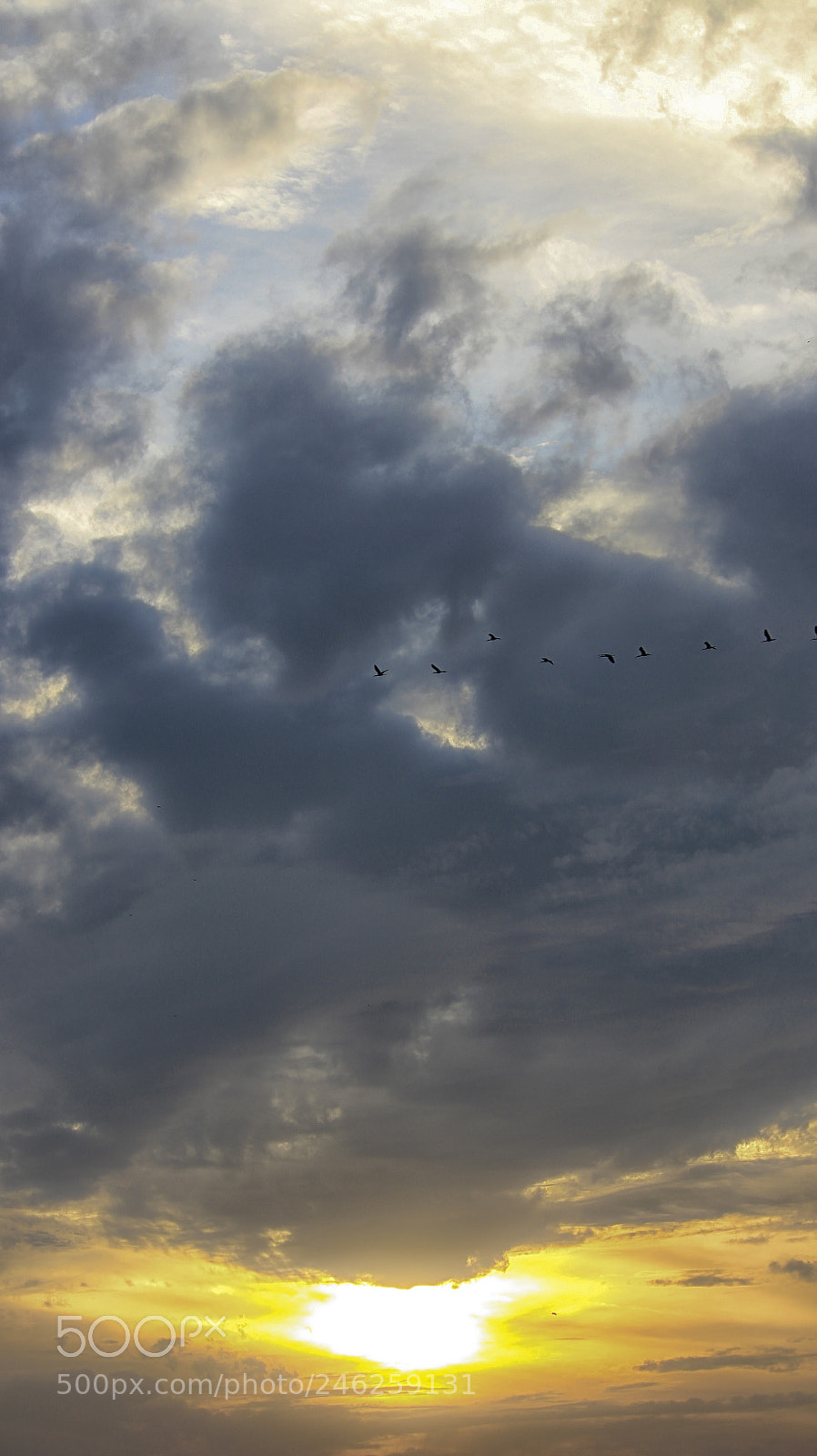 Canon EOS 700D (EOS Rebel T5i / EOS Kiss X7i) sample photo. Sunset photography