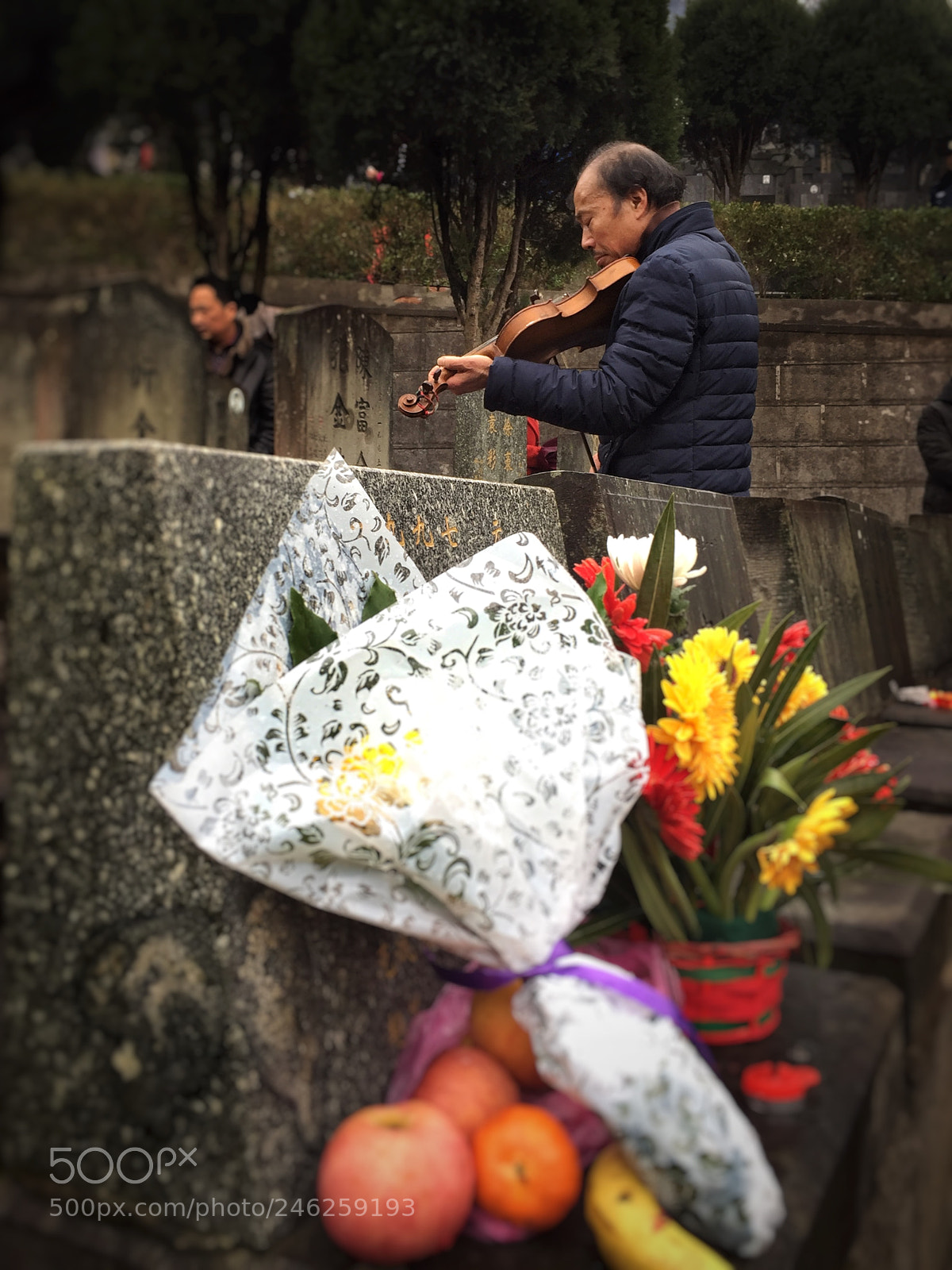 Apple iPhone 6 Plus sample photo. Iphone photo photography