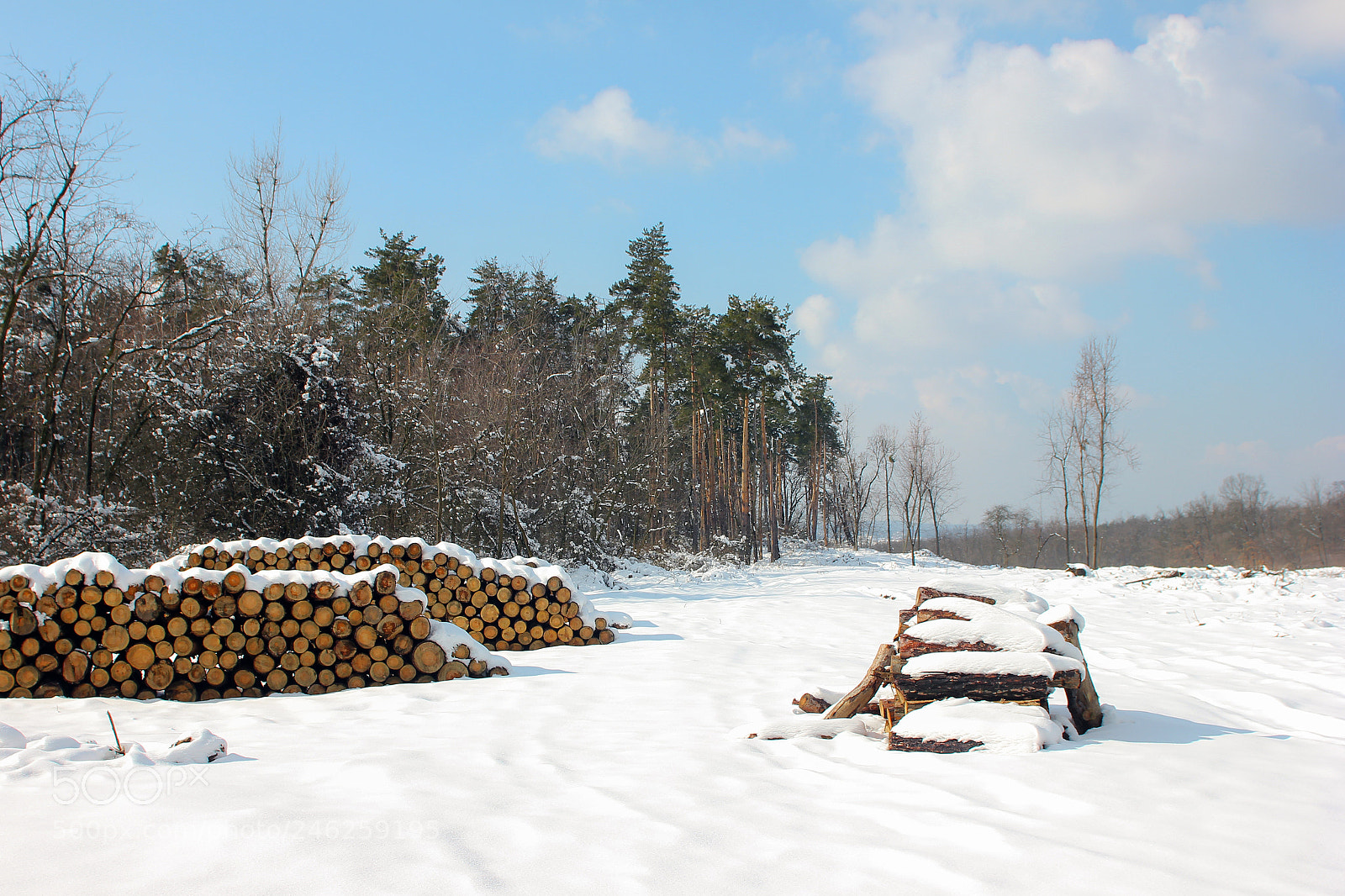 Canon EOS 600D (Rebel EOS T3i / EOS Kiss X5) sample photo. Logs in the snow photography