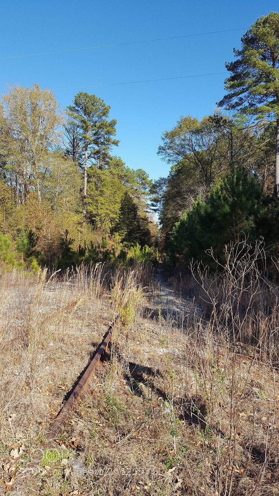 Samsung Galaxy S6 sample photo. The train is late! photography