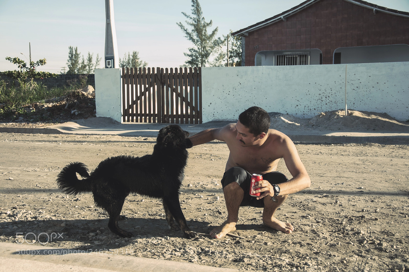 Nikon D300S sample photo. Black dog photography
