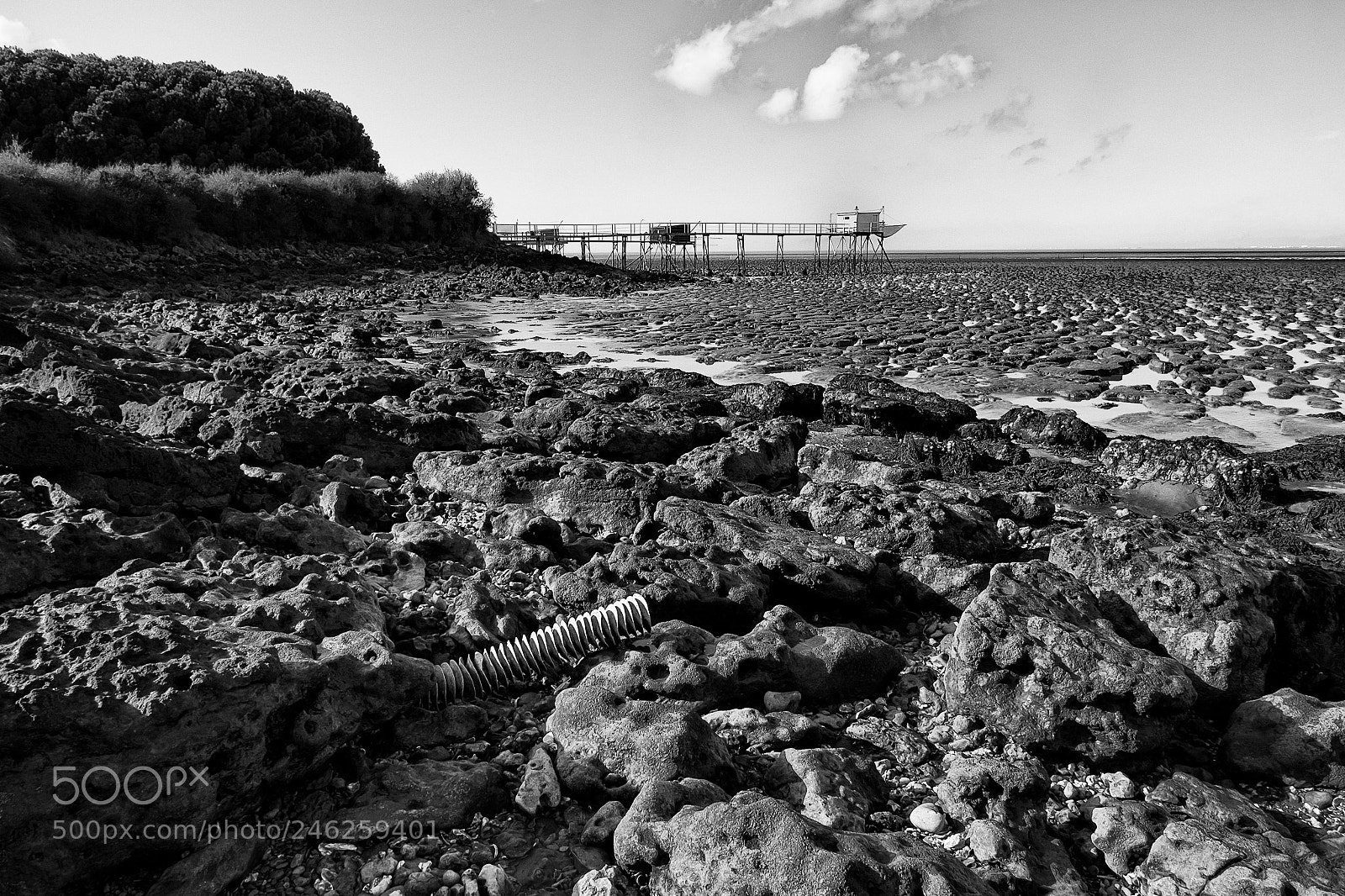 Fujifilm X-Pro1 sample photo. Les coupelles photography