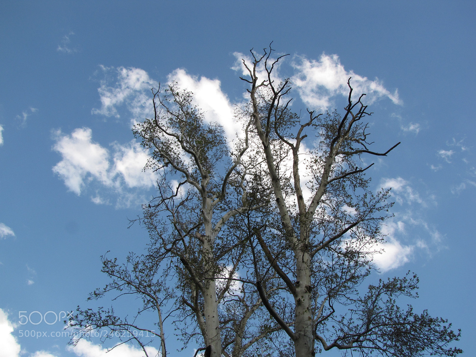 Canon PowerShot SX10 IS sample photo. Img photography