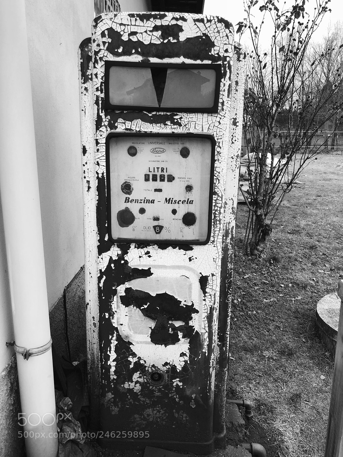 Apple iPhone X sample photo. Untitled photography