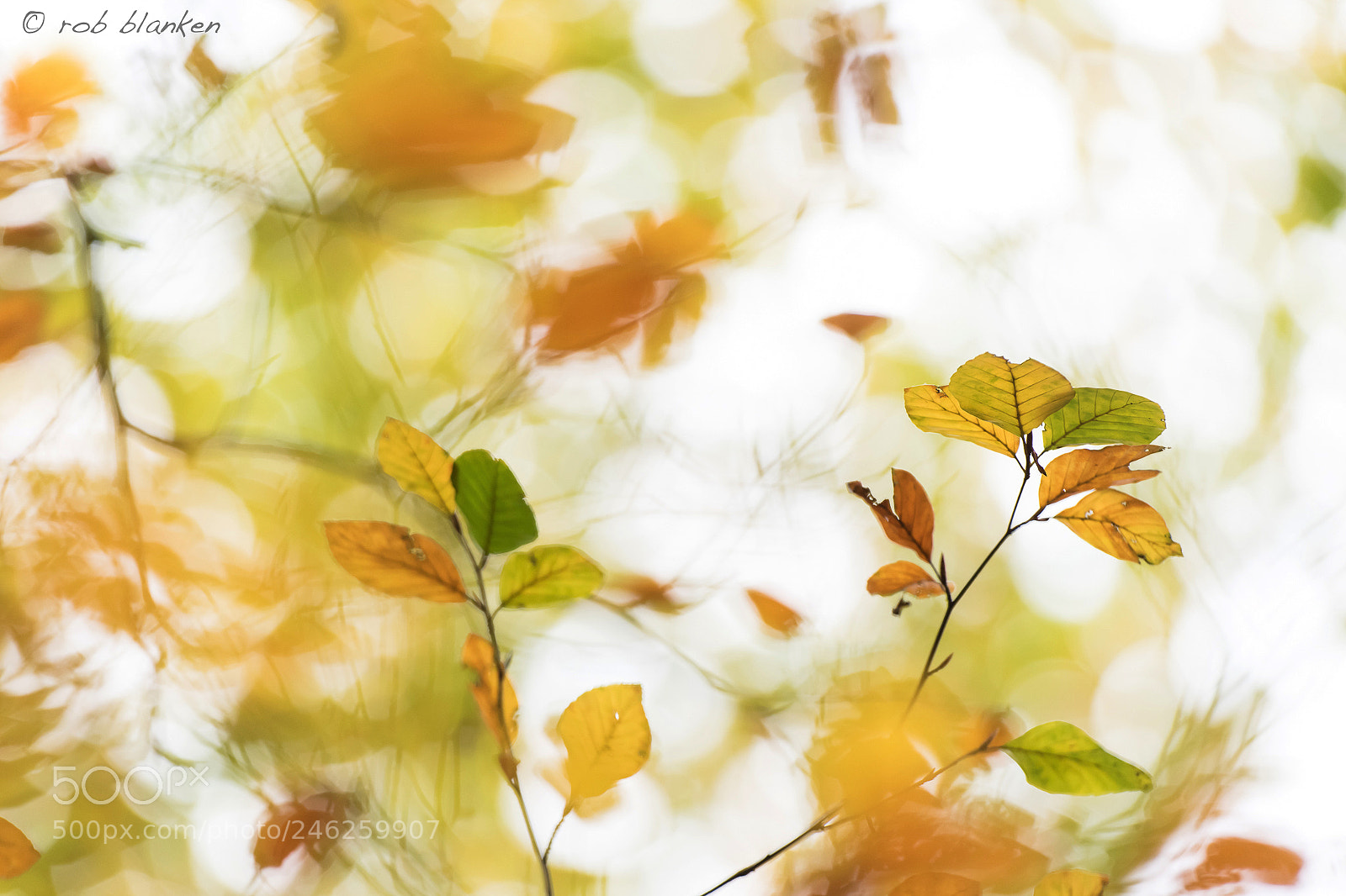 Nikon D850 sample photo. Colors (2) photography
