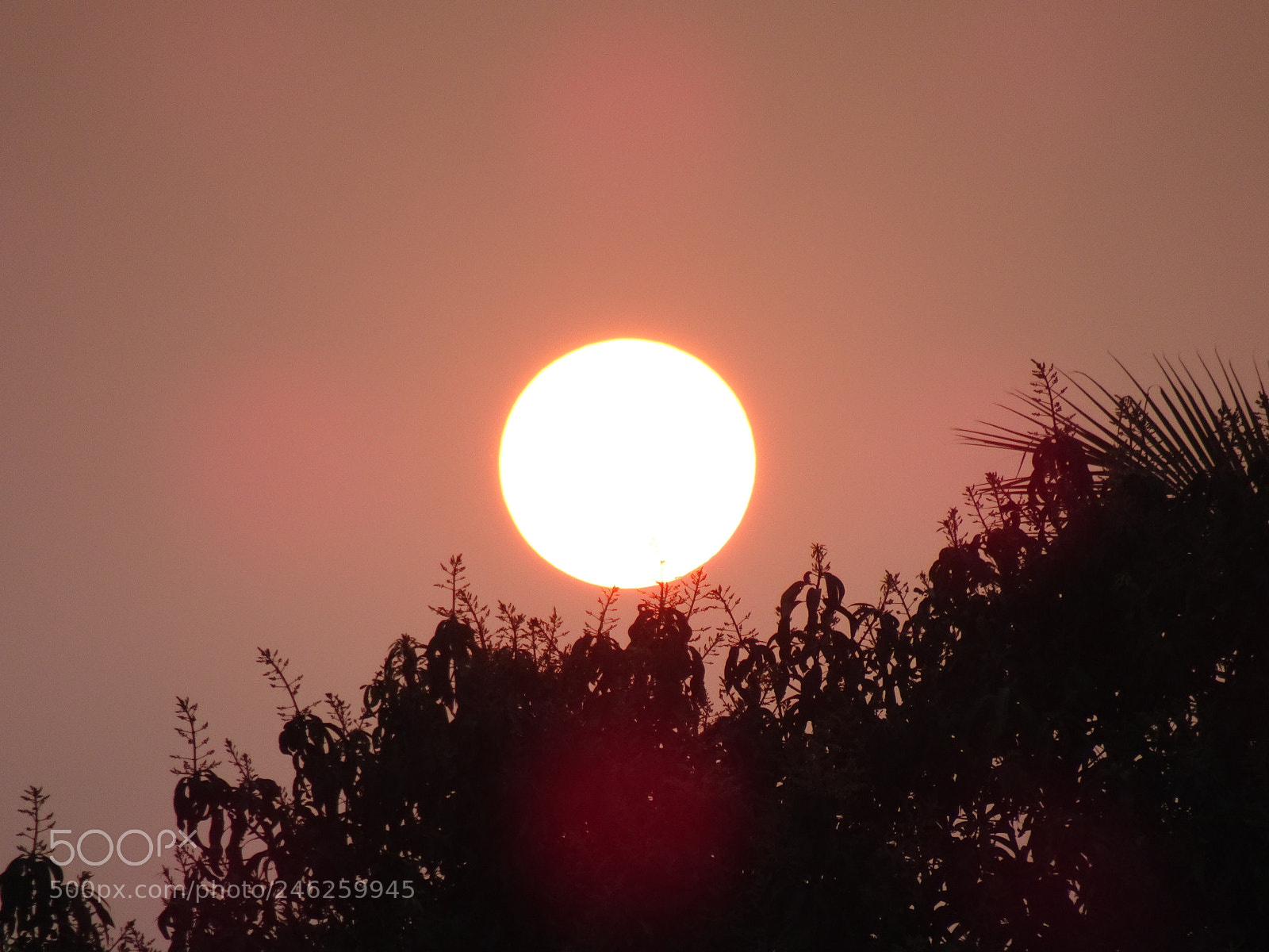 Sony Cyber-shot DSC-HX90V sample photo. Sunrise photography