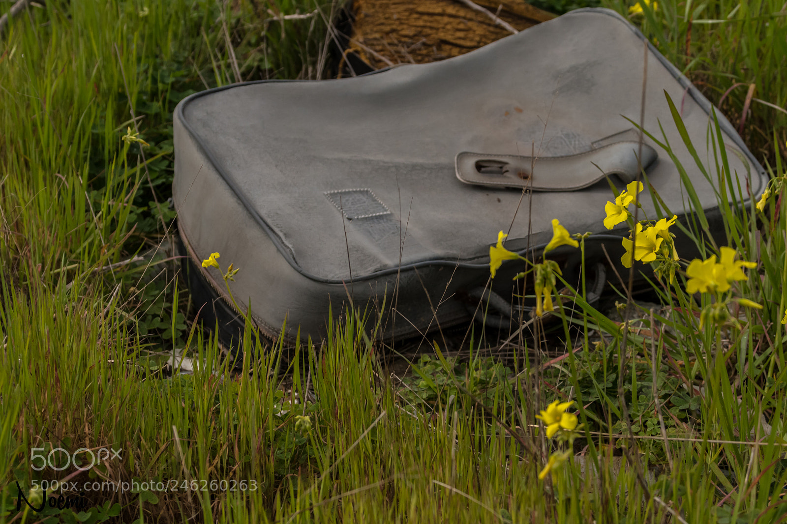 Nikon D500 sample photo. Abandoned luggage photography