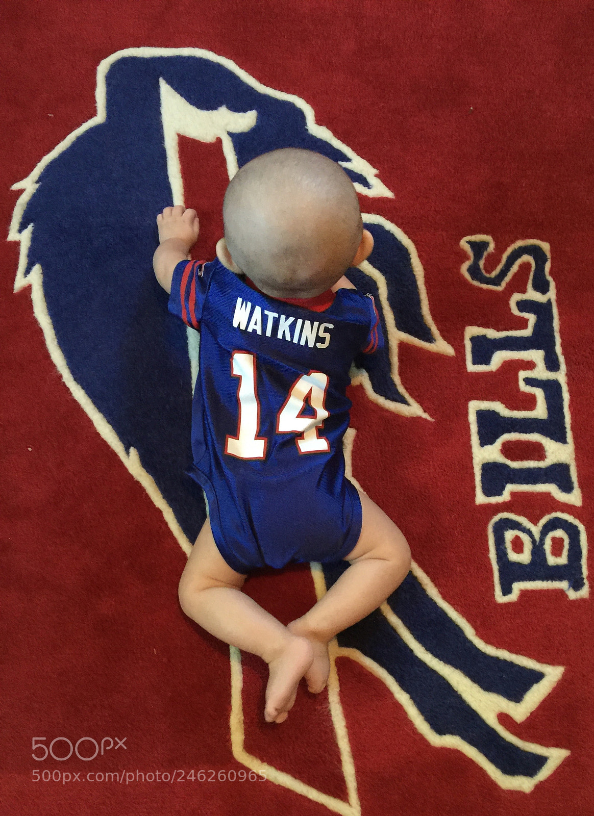 Apple iPhone 6 Plus sample photo. Buffalo bills smallest fan photography