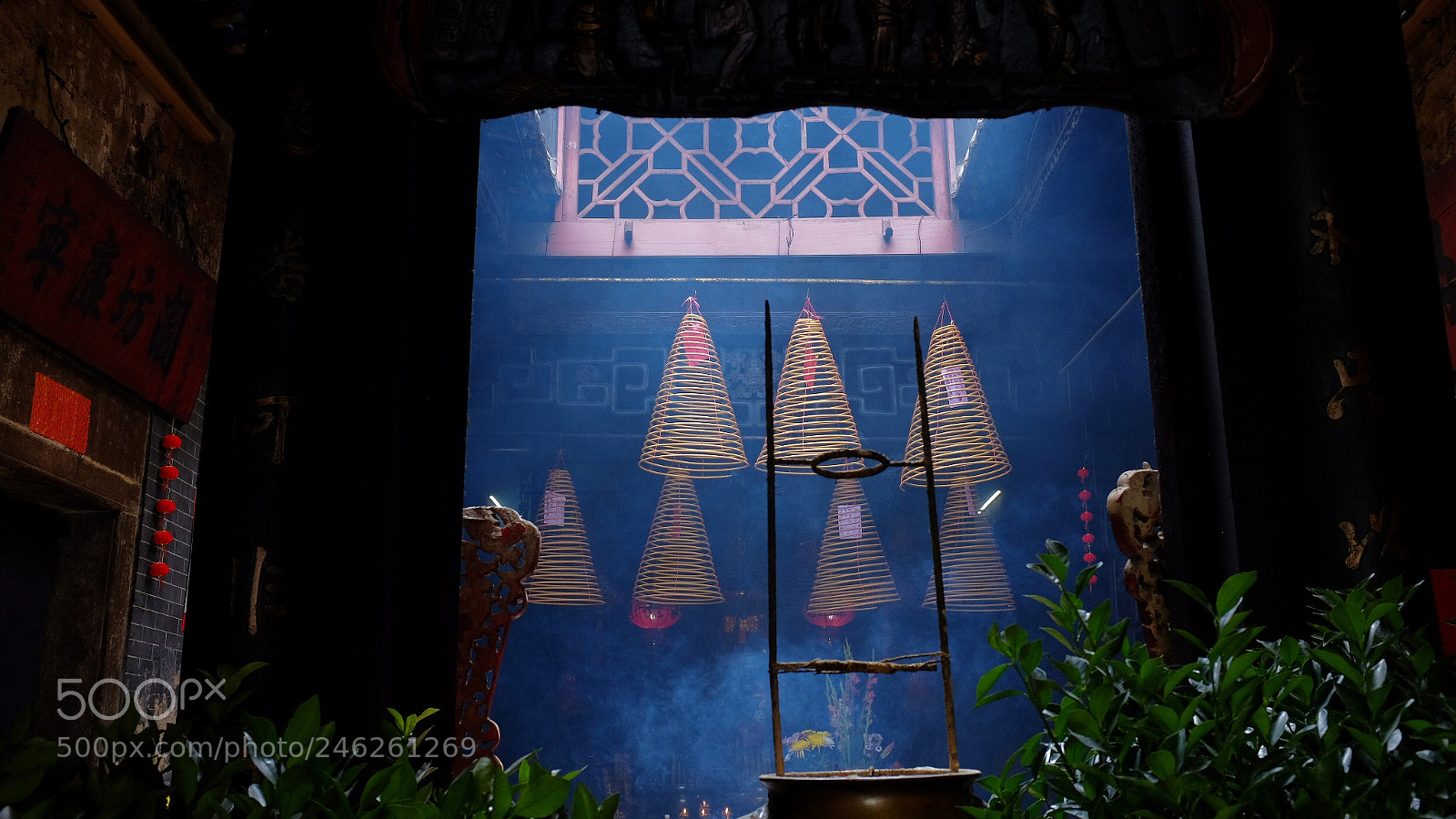 Fujifilm X100T sample photo. Untitled photography