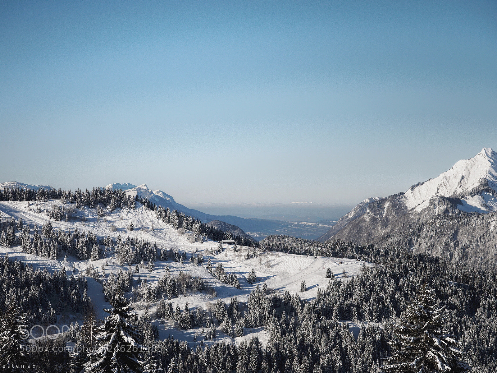 Olympus OM-D E-M1 sample photo. Tout blanc  photography