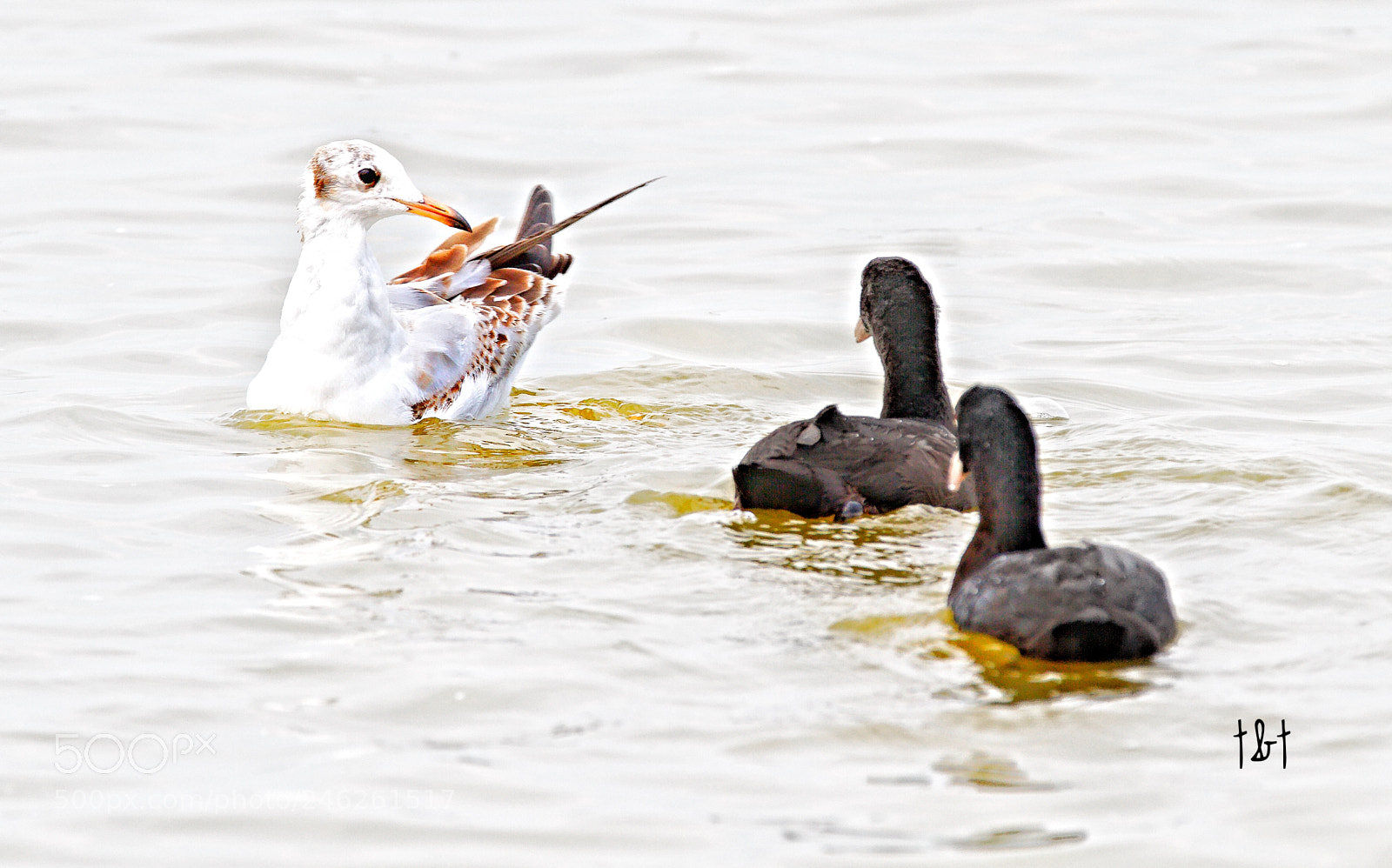Canon EOS 7D sample photo. Untitled photography