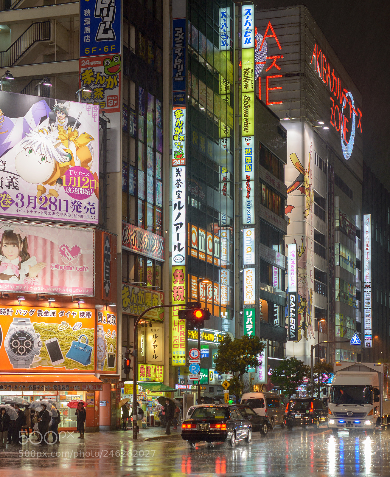 Nikon D800 sample photo. Tokyo winter rain photography