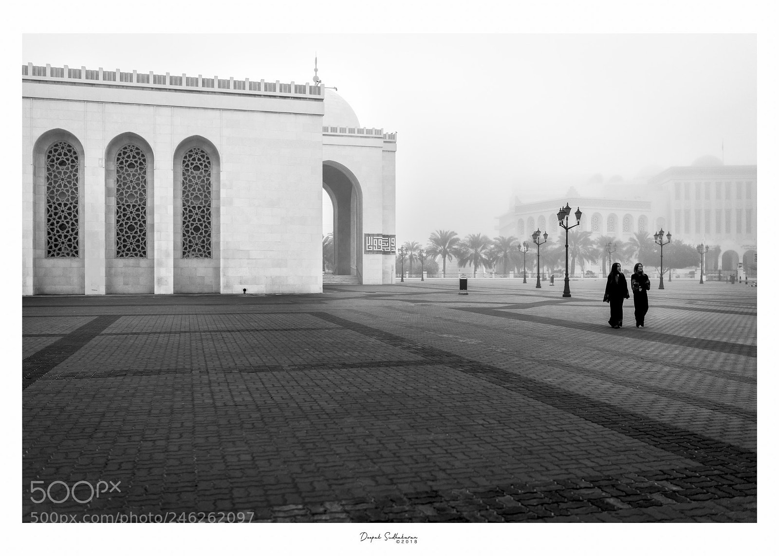 Sony a7R II sample photo. In a foggy day photography