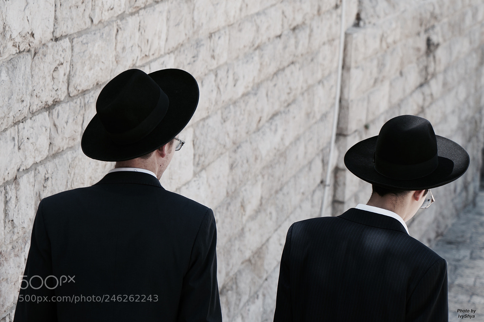 Sony a7R II sample photo. View of your backs photography