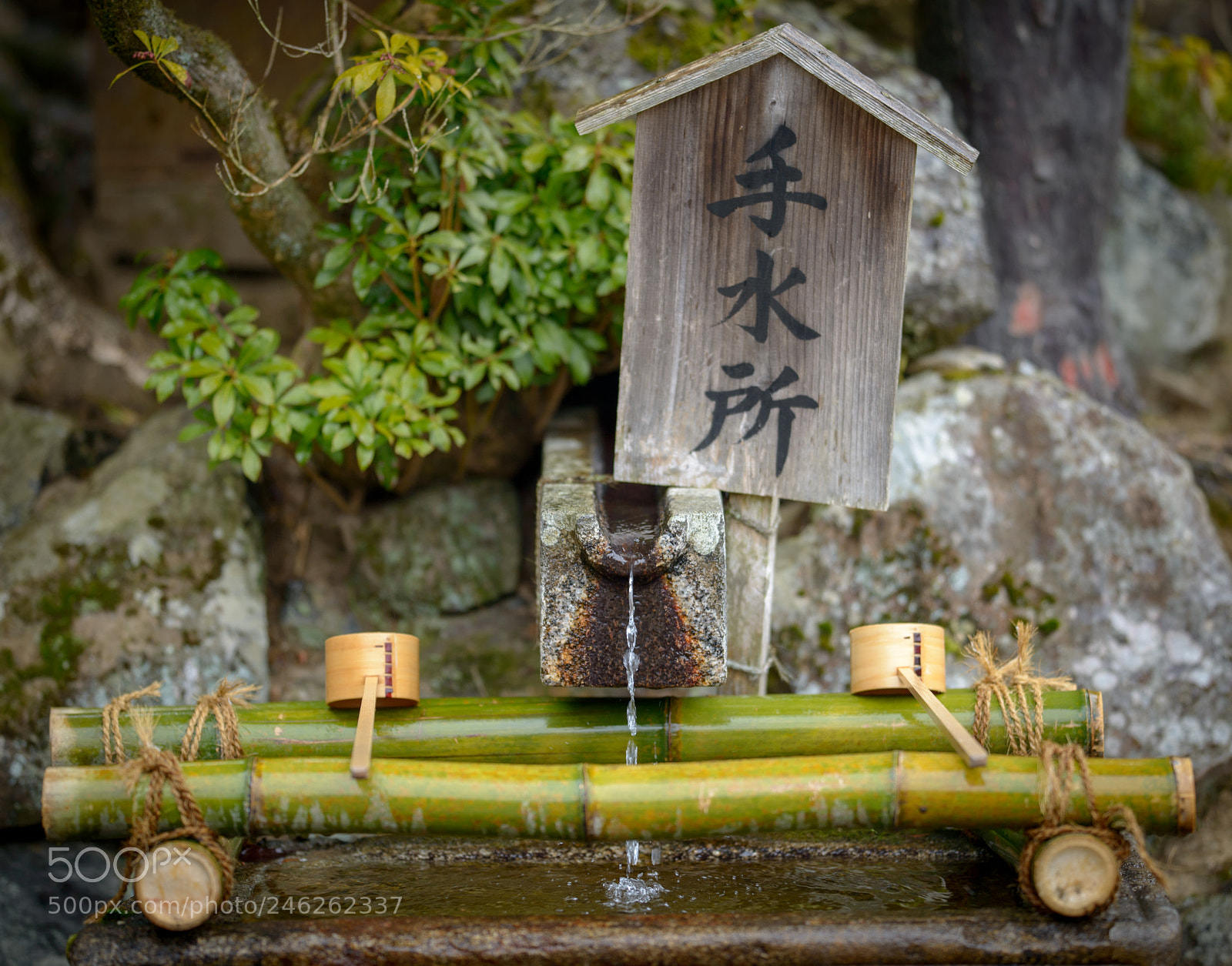 Nikon D800 sample photo. Chōzuya photography