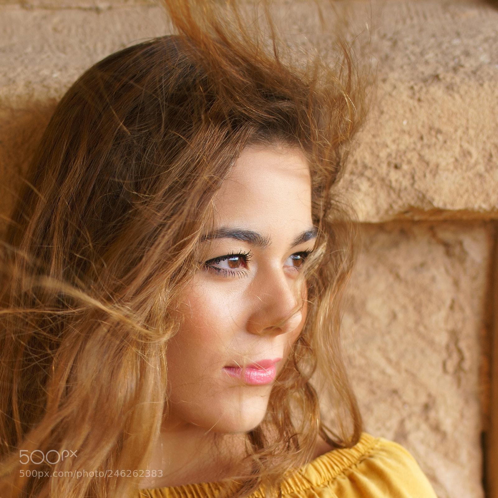 Sony ILCA-77M2 sample photo. Untitled photography