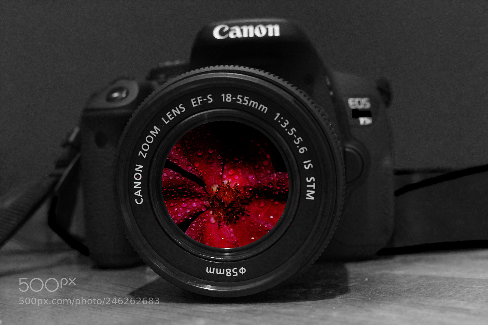 Canon EOS 700D (EOS Rebel T5i / EOS Kiss X7i) sample photo. Img photography