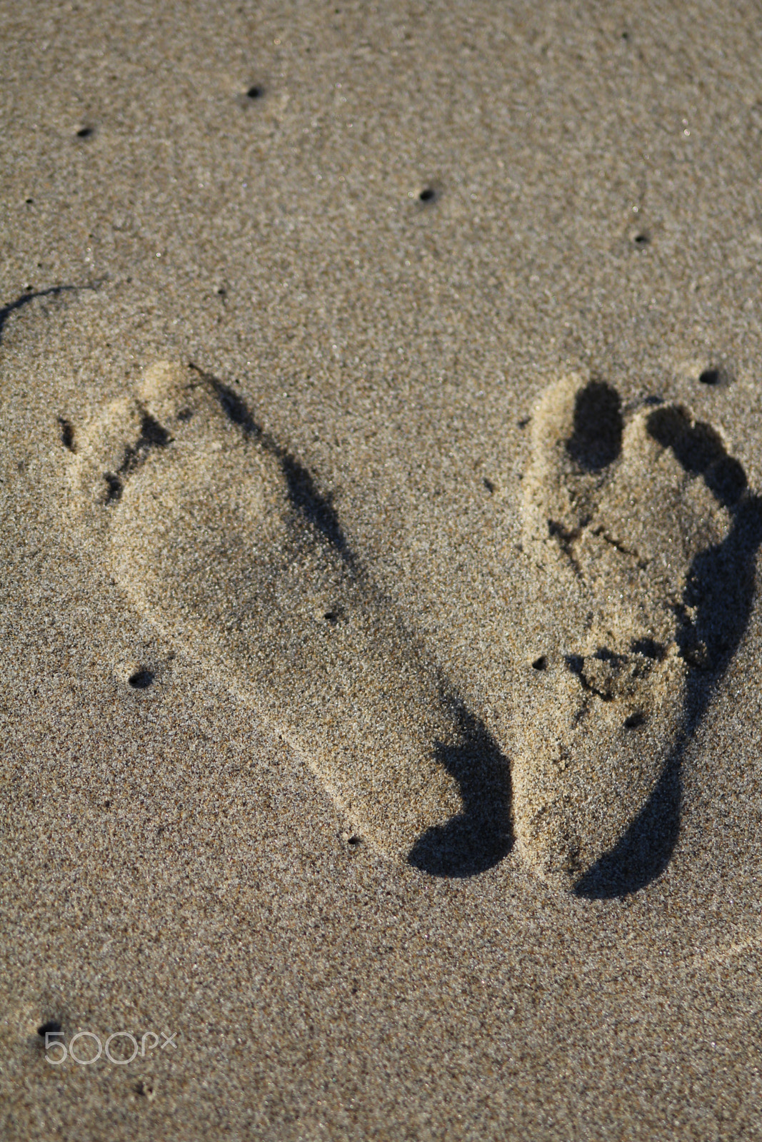 EF75-300mm f/4-5.6 sample photo. Sandy allusion photography