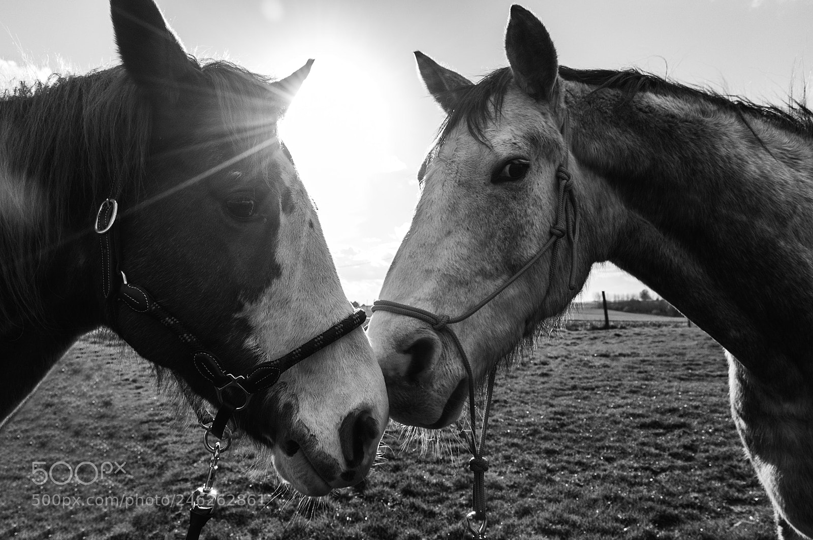 Nikon D300 sample photo. Tolesse et tico photography