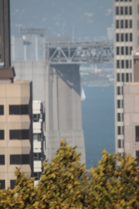Tamron SP 150-600mm F5-6.3 Di VC USD sample photo. Img photography