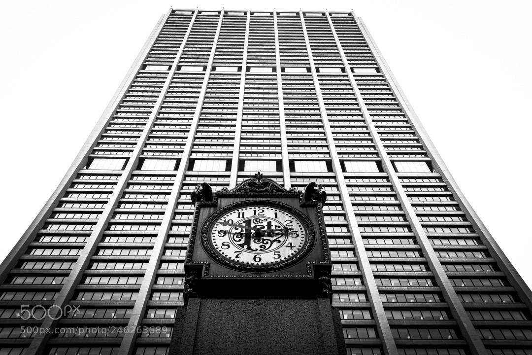 Canon EOS 60D sample photo. Time photography