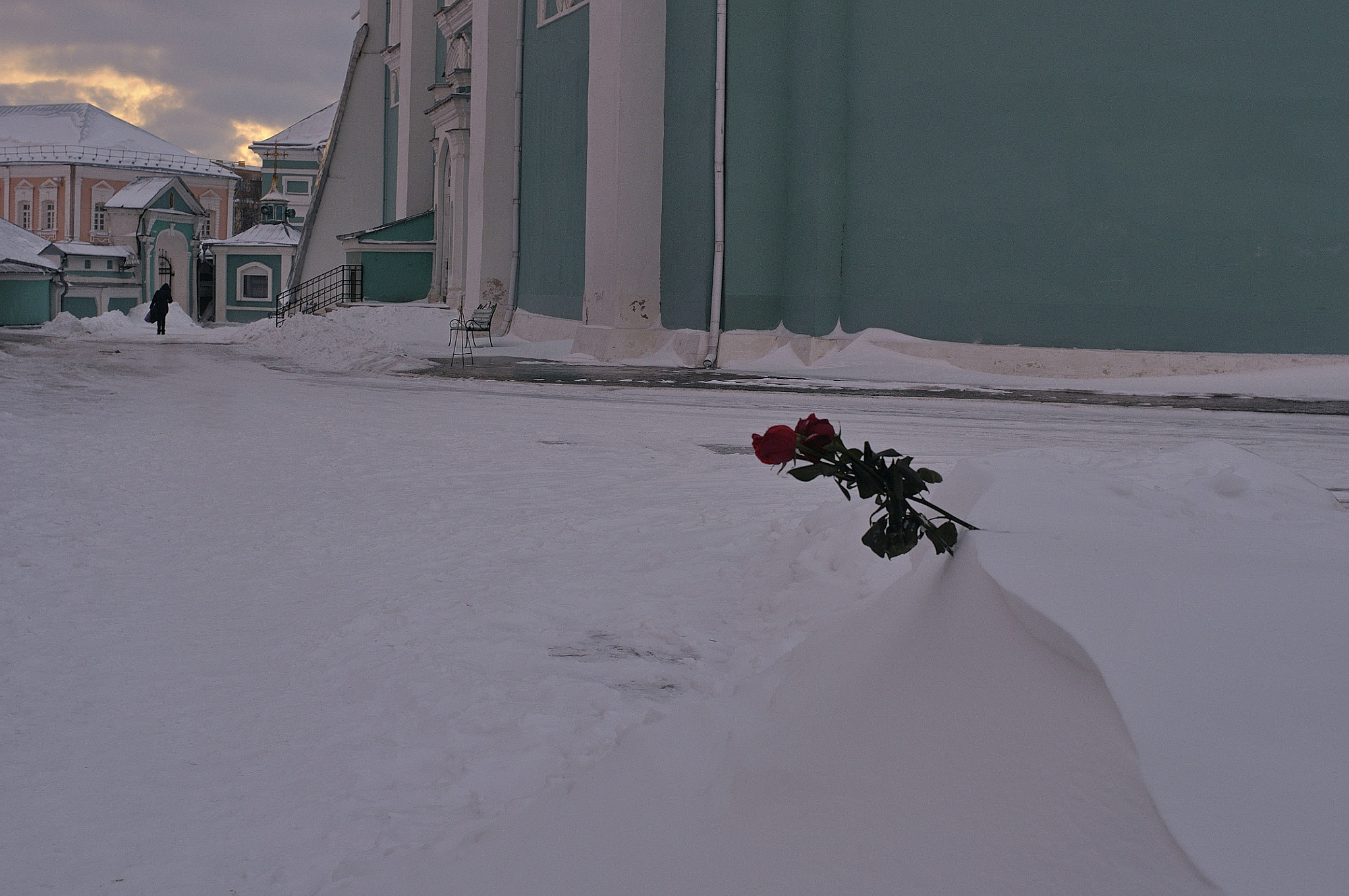 Nikon AF Nikkor 35mm F2D sample photo. Winter roses photography