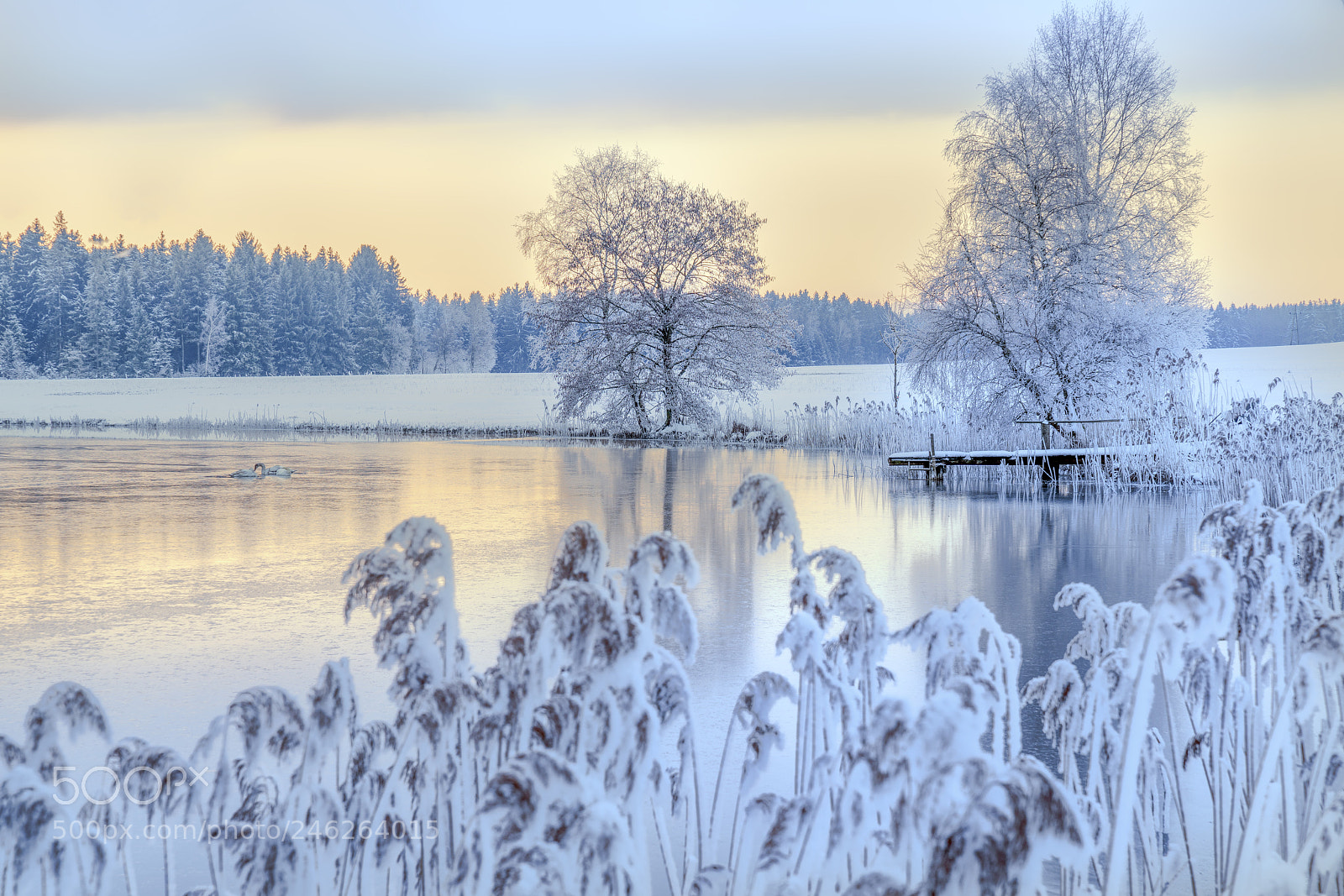 Sony a7R II sample photo. Egelsee pastell photography