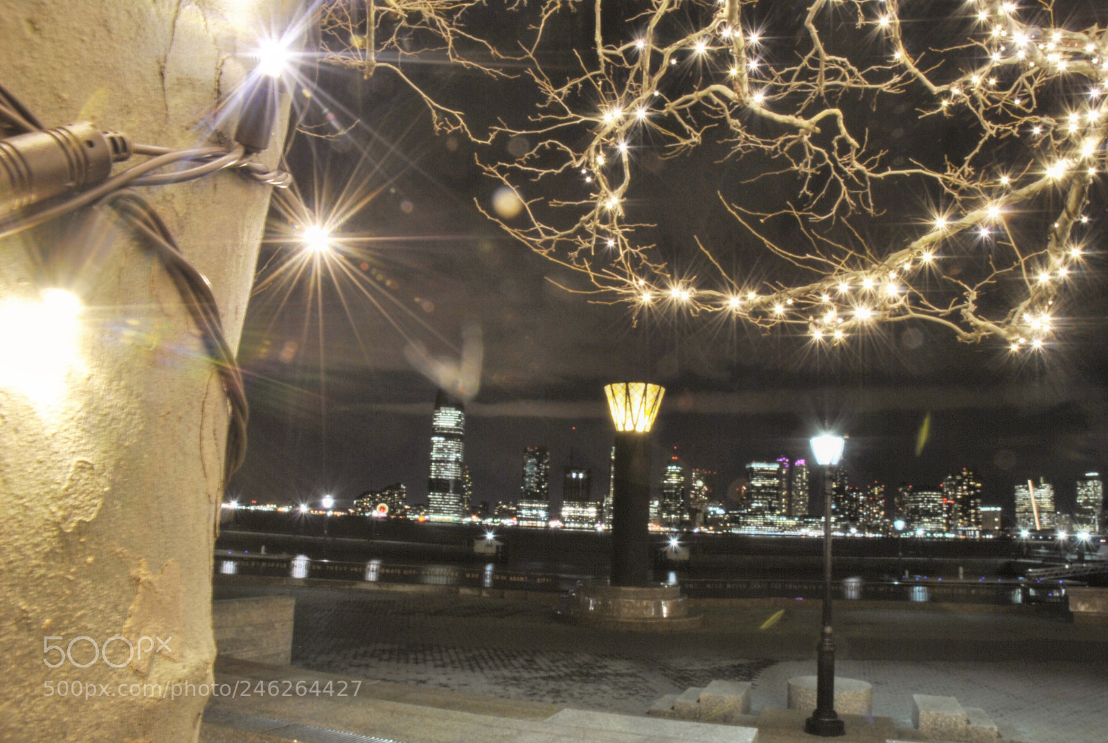Nikon D3000 sample photo. Let me show you photography