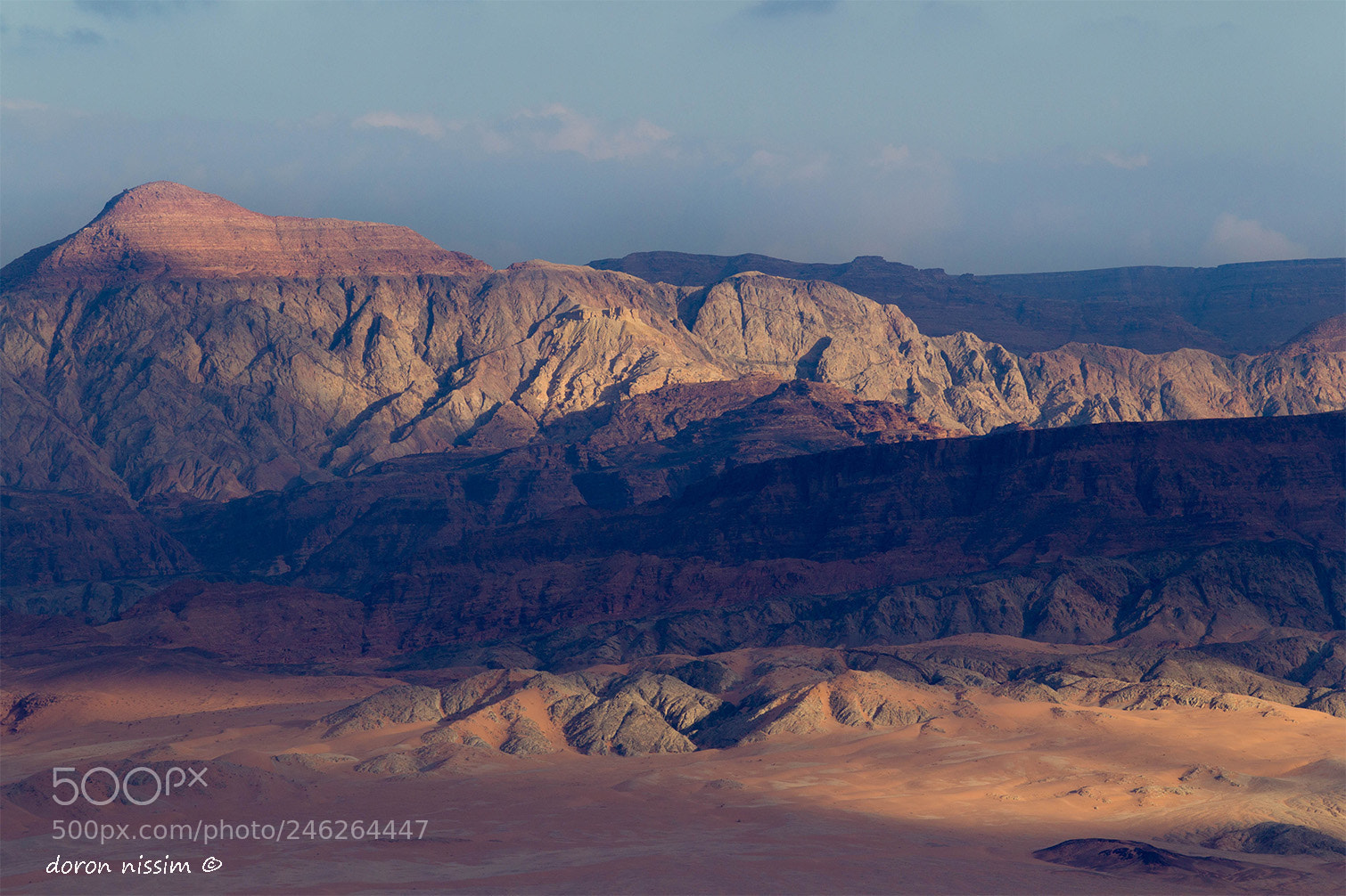 Canon EOS-1D Mark IV sample photo. Red photography