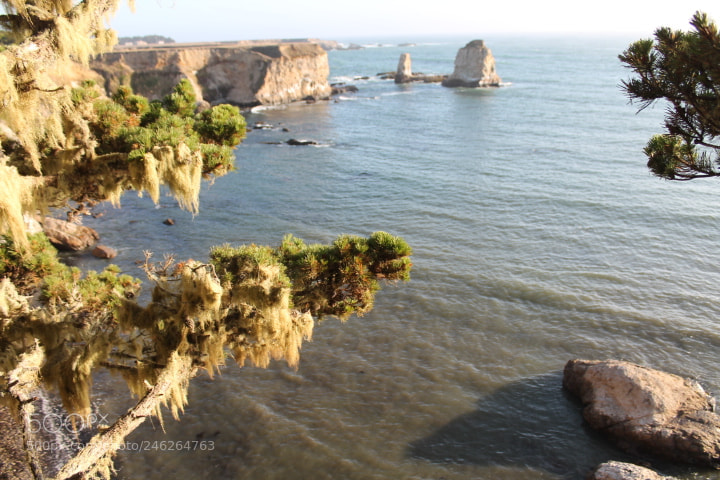 Canon EOS 1100D (EOS Rebel T3 / EOS Kiss X50) sample photo. Img photography