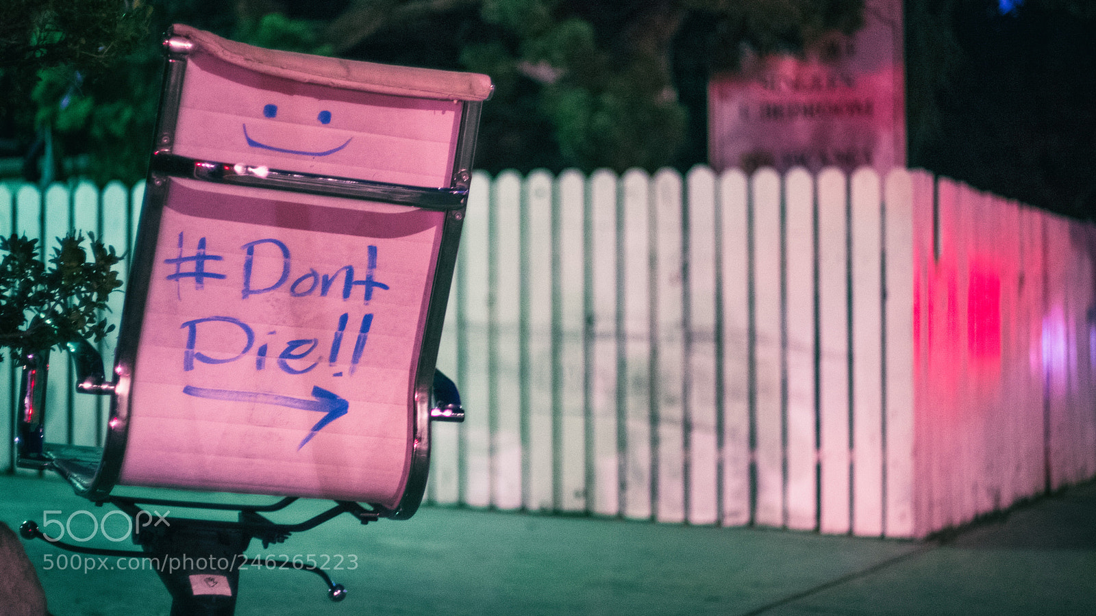 Fujifilm X-E2S sample photo. Don't die :) photography
