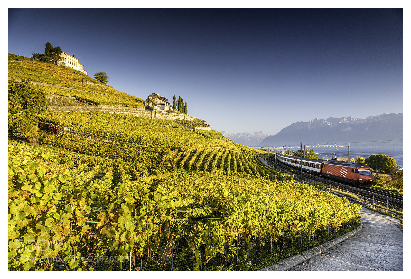 Nikon D810 sample photo. Lavaux photography
