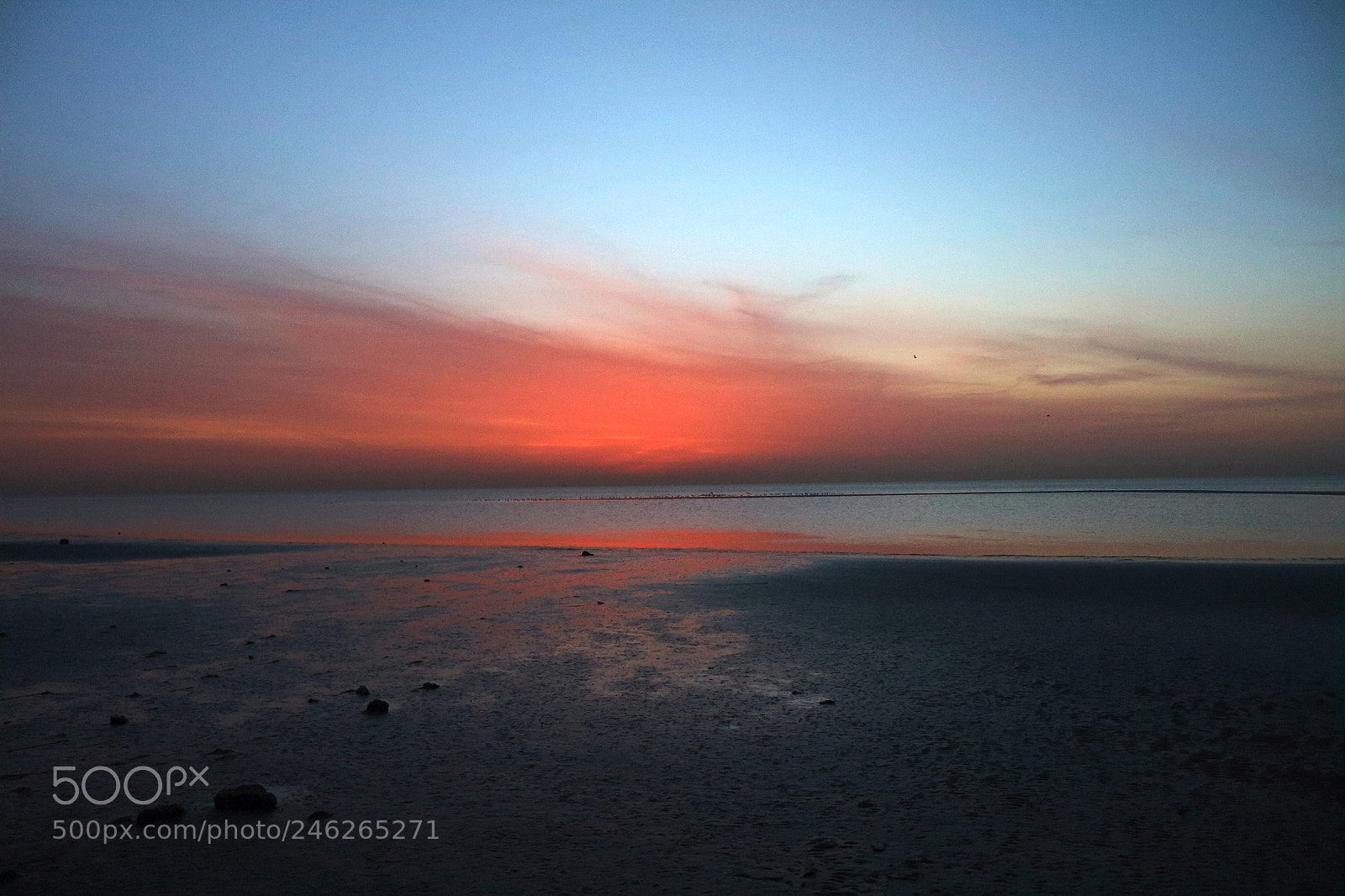 Canon EOS 650D (EOS Rebel T4i / EOS Kiss X6i) sample photo. Sunrise photography