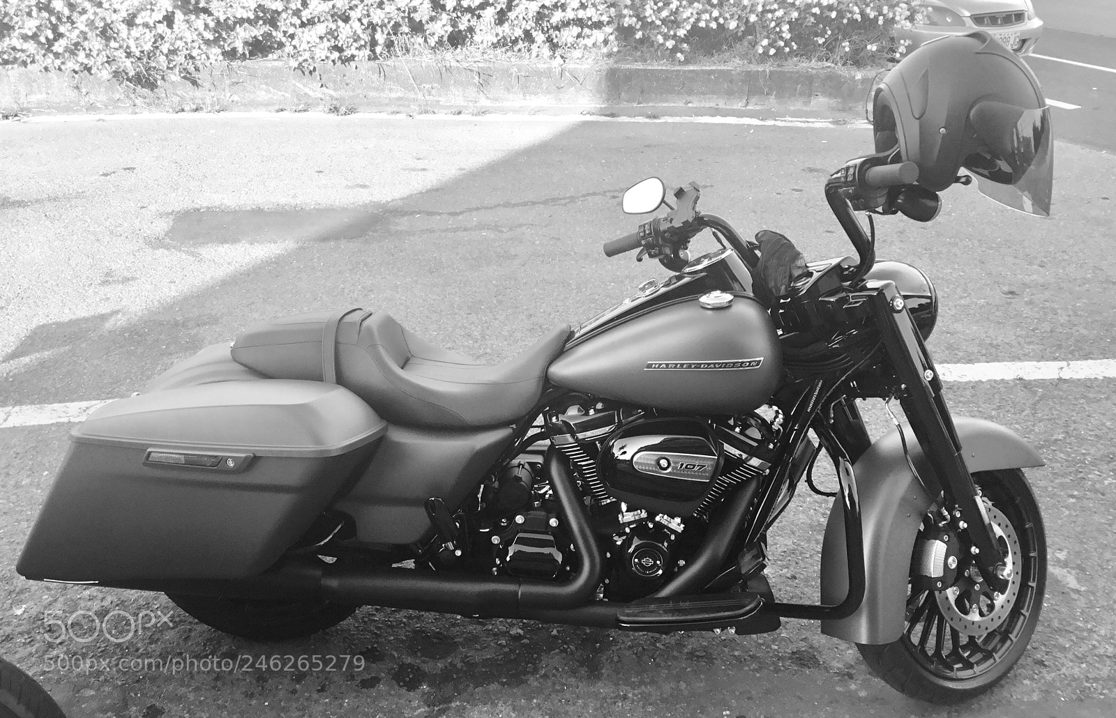Apple iPad sample photo. The harley photography