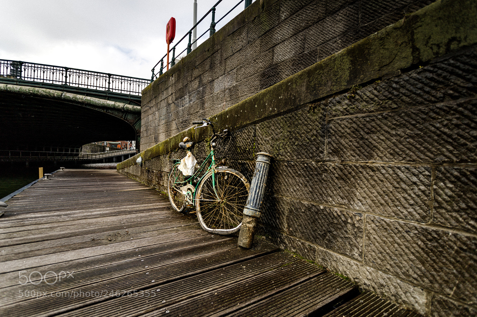 Canon EOS 6D Mark II sample photo. Broken vintage gazelle photography