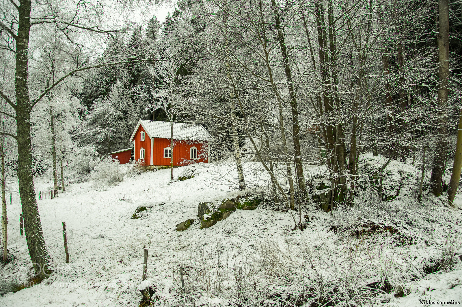 Nikon D3400 sample photo. Ett r tt litet photography