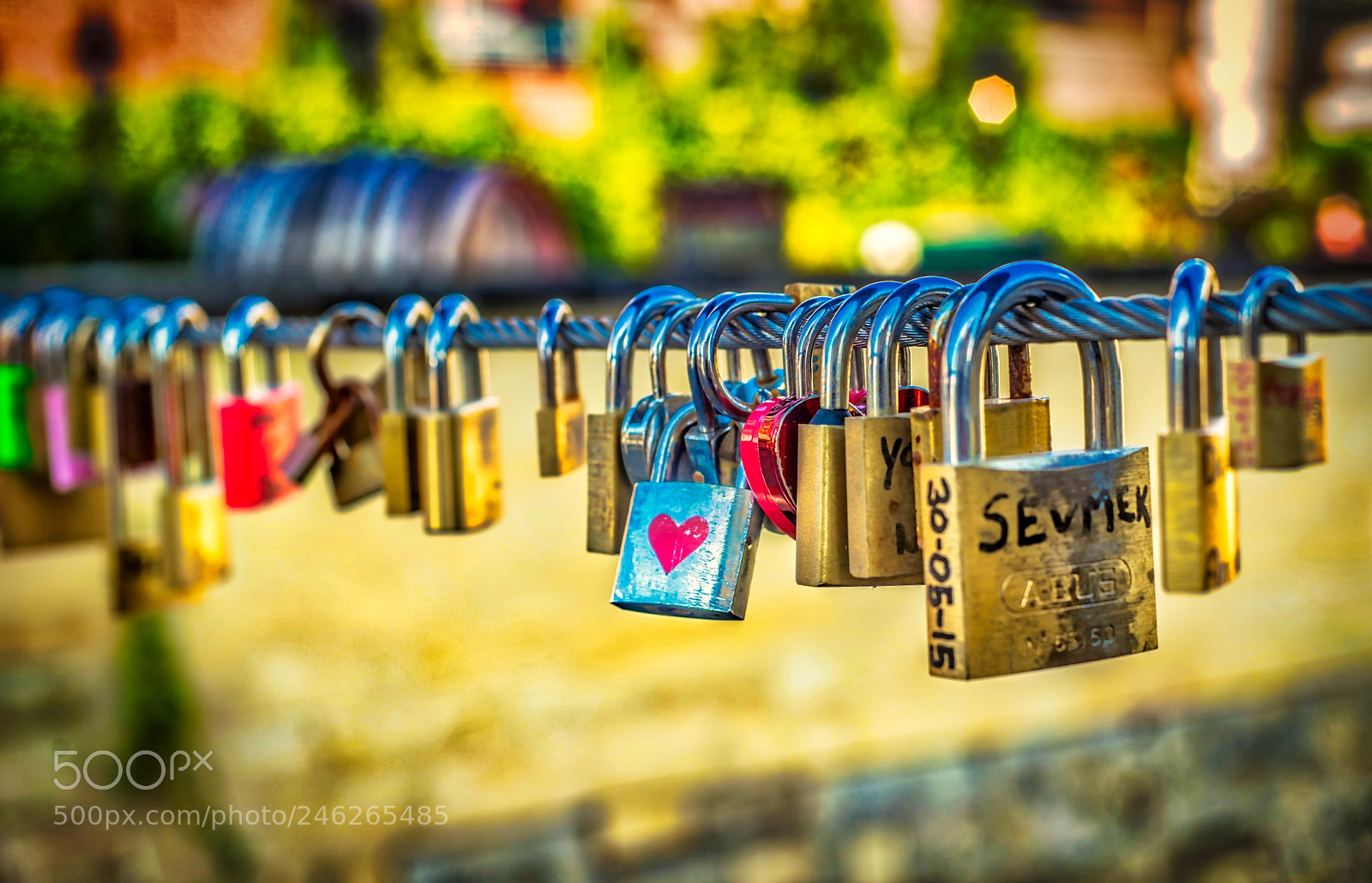 Nikon D610 sample photo. Locks of love photography